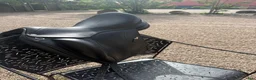 Sadlar hästutrustning till salu: Equipe Dressage Olympia Singelflap 16” - Annons 2