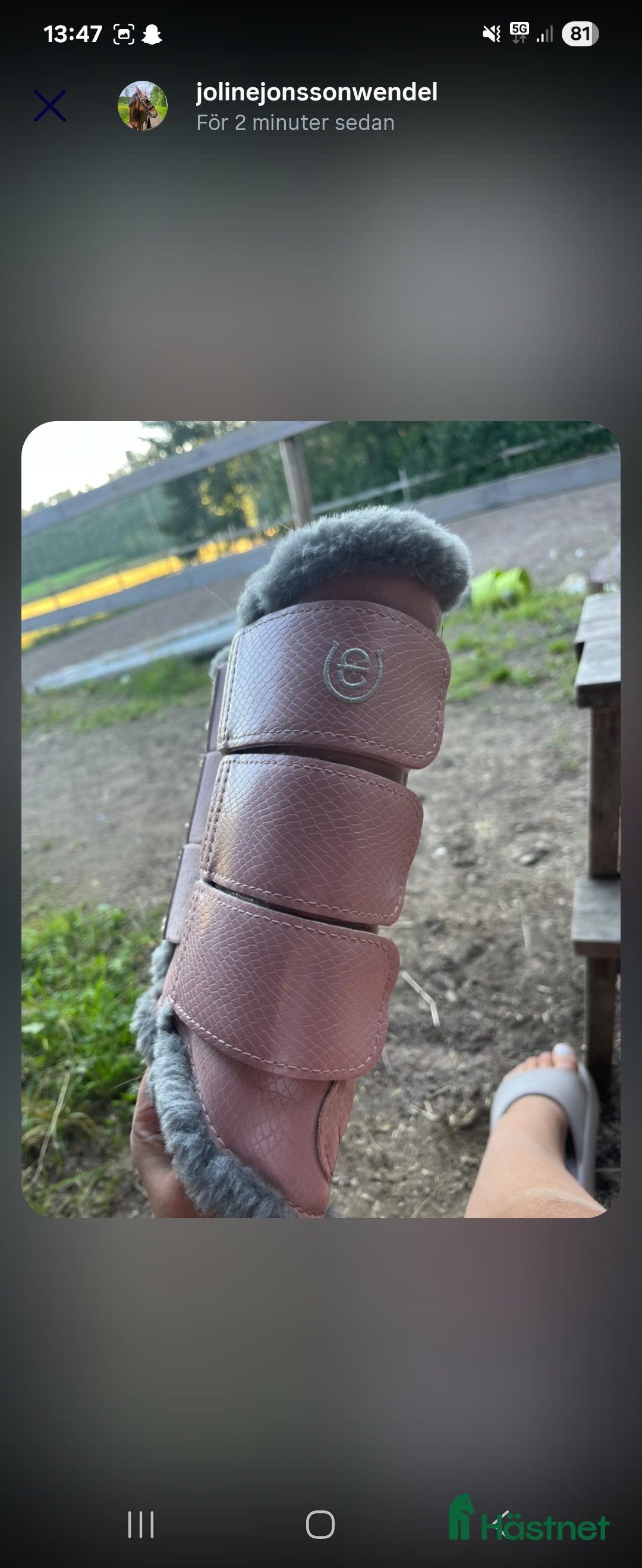 Benskydd hästutrustning till salu: Set från ES (equestrian stockholm) i Sunne - Annons 2