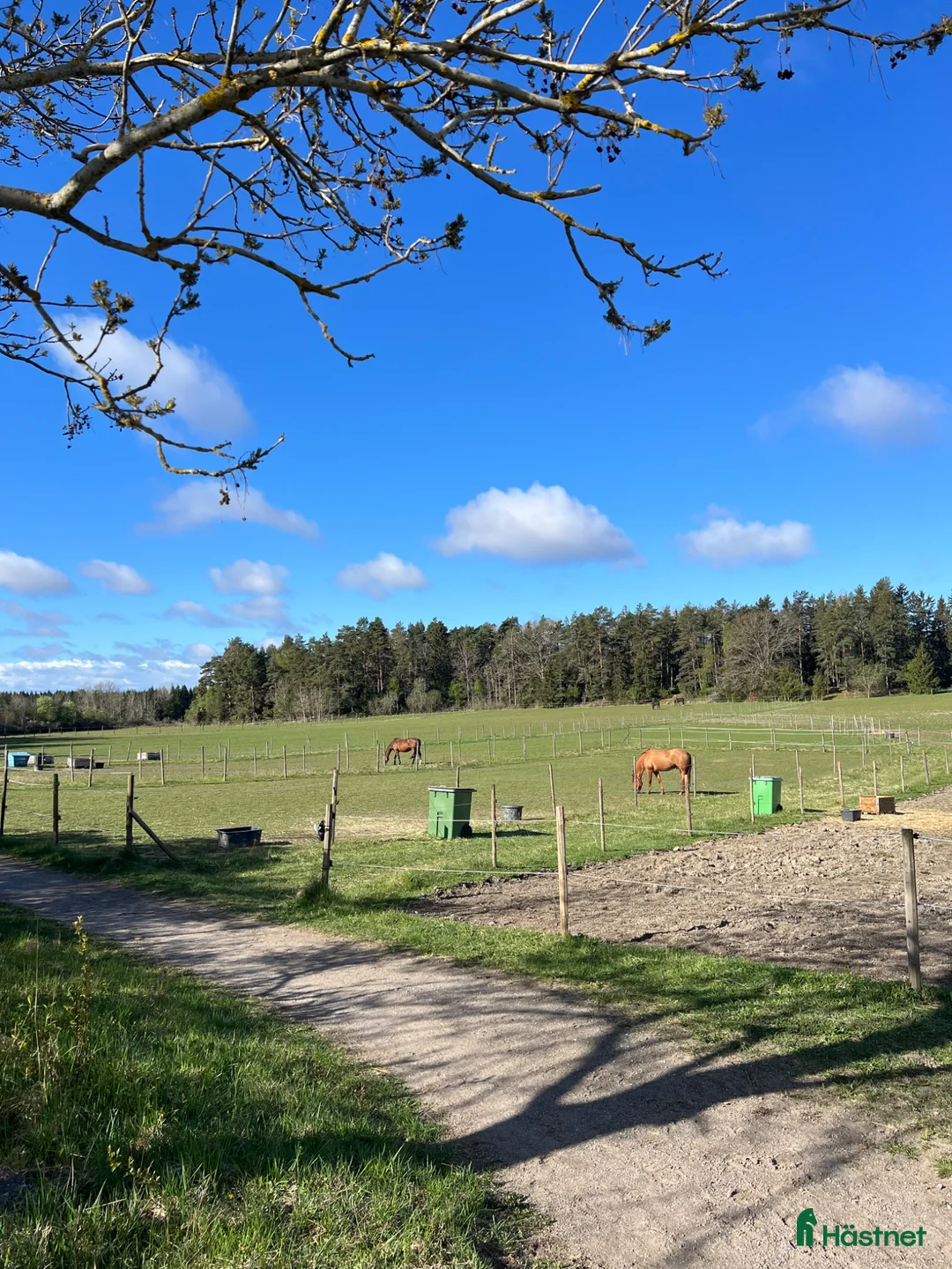  stallplats finnes: Stallplats i Kungsängen, Norra Stockholm  - Annons 2