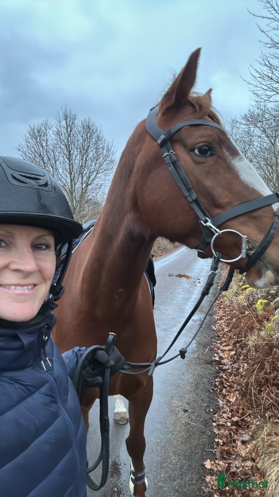 Galleribild {{count}}