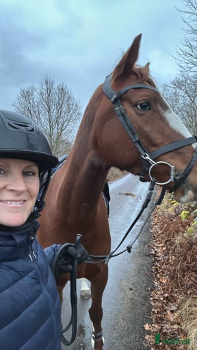 Galleribild {{count}}