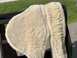 Sadeltillbehör hästutrustning till salu: Sadelgjordar - Annons 23