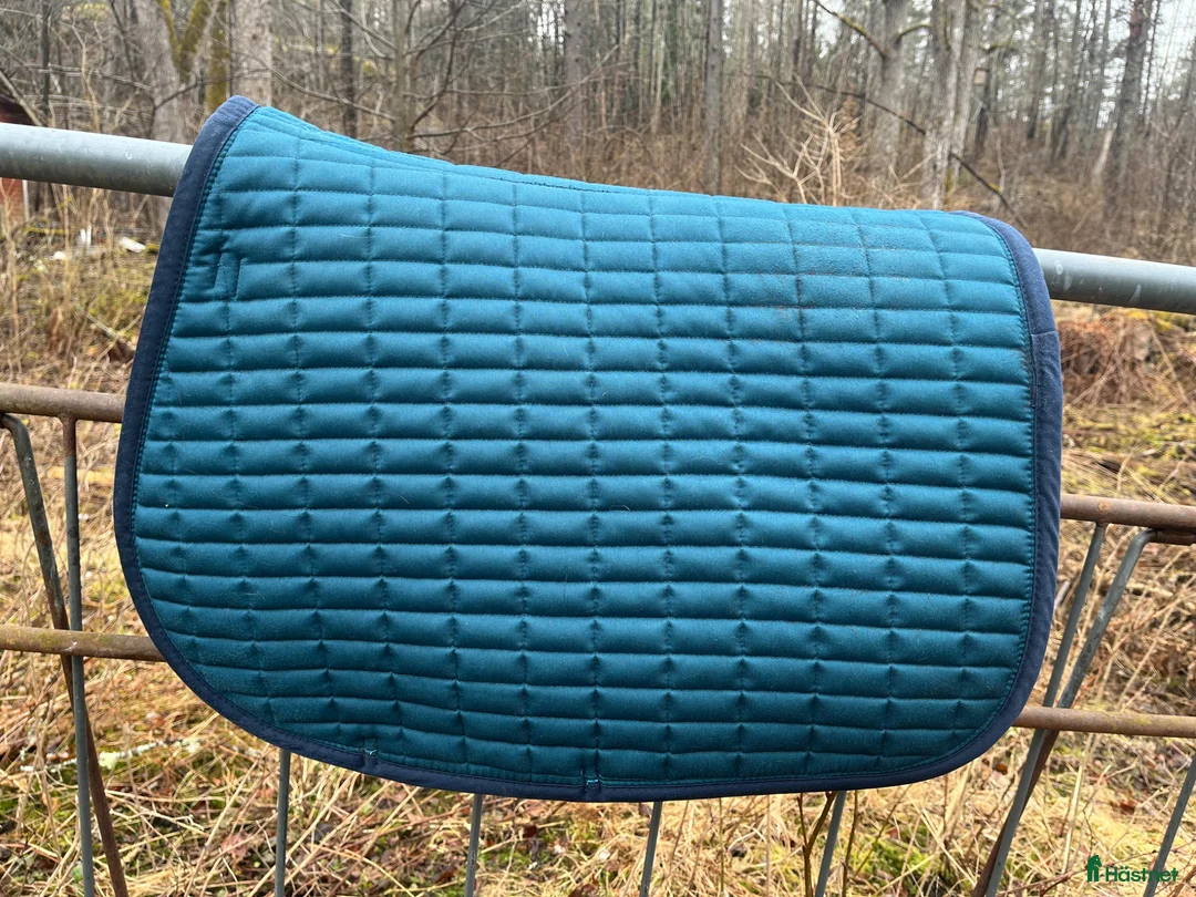 Schabrak & Vojlockar hästutrustning till salu: Hoppschabrak Fairfield strl full - Annons 2