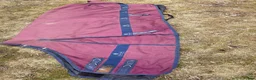 Täcken hästutrustning till salu: Fairfield regntäcke  - Annons 2