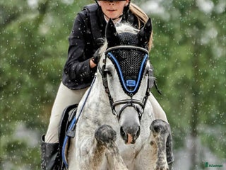 hästar Ponnyn med extra allt💫 i Ulricehamn - Annons 12