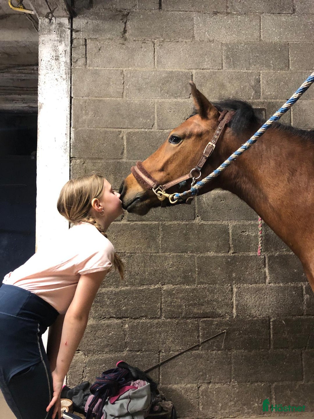 Allround hästar sökes: Trygg C-ponny sökes.  i Torshälla - Annons 1