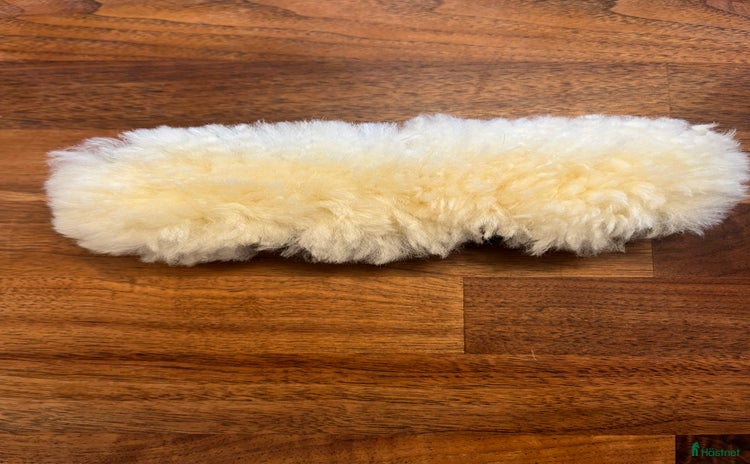 Övrig Hästutrustning hästutrustning till salu i Värmdö - Annons 13