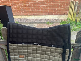 Schabrak & Vojlockar hästutrustning till salu: Equestrian Stockholm i Lindome - Annons 18