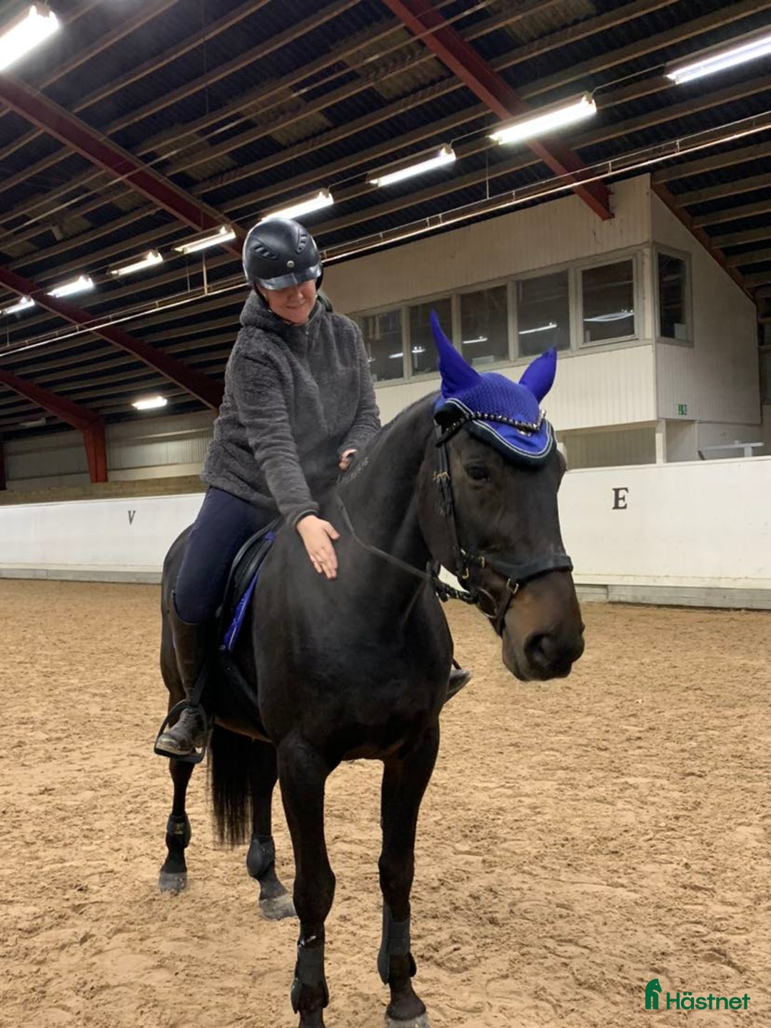 Allround hästar sökes: Foderhäst sökes i Vikbolandet - Annons 5