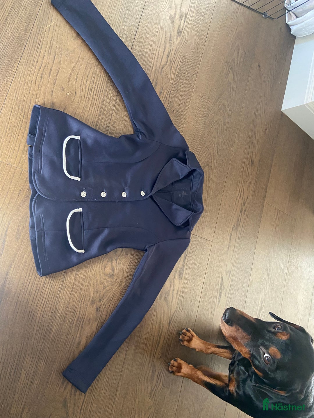 Jackor & Kavajer ryttarutrustning till salu: Söt ridkavaj i barnstorlek i Varberg - Annons 1