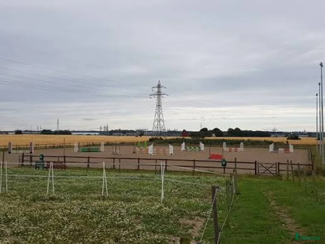  stallplats finnes: "All inclusive" stall nära Malmö/Lund i Åkarp - Annons 3
