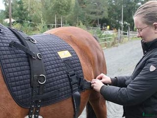 Övrig Hästutrustning hästutrustning till salu: Equiband uthyres i Tenhult - Annons 4