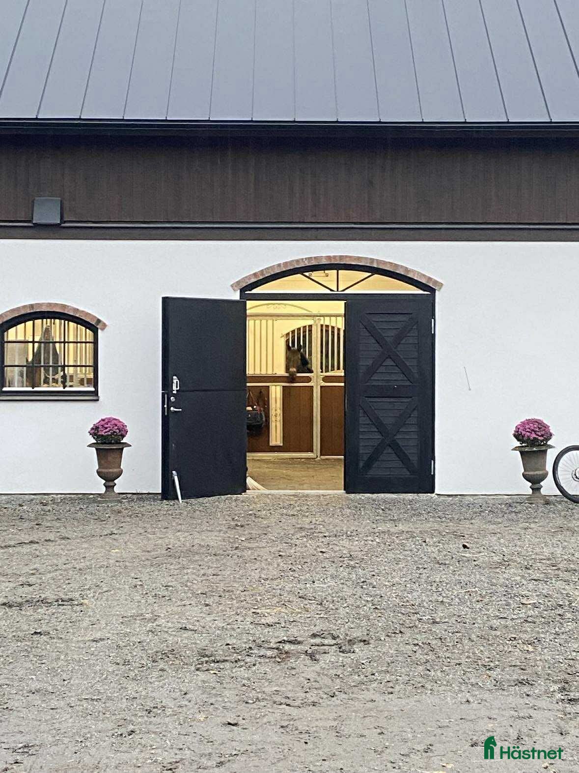  stallplats finnes: Stallplats mellan Rimbo o Gottröra  i Rimbo - Annons 2