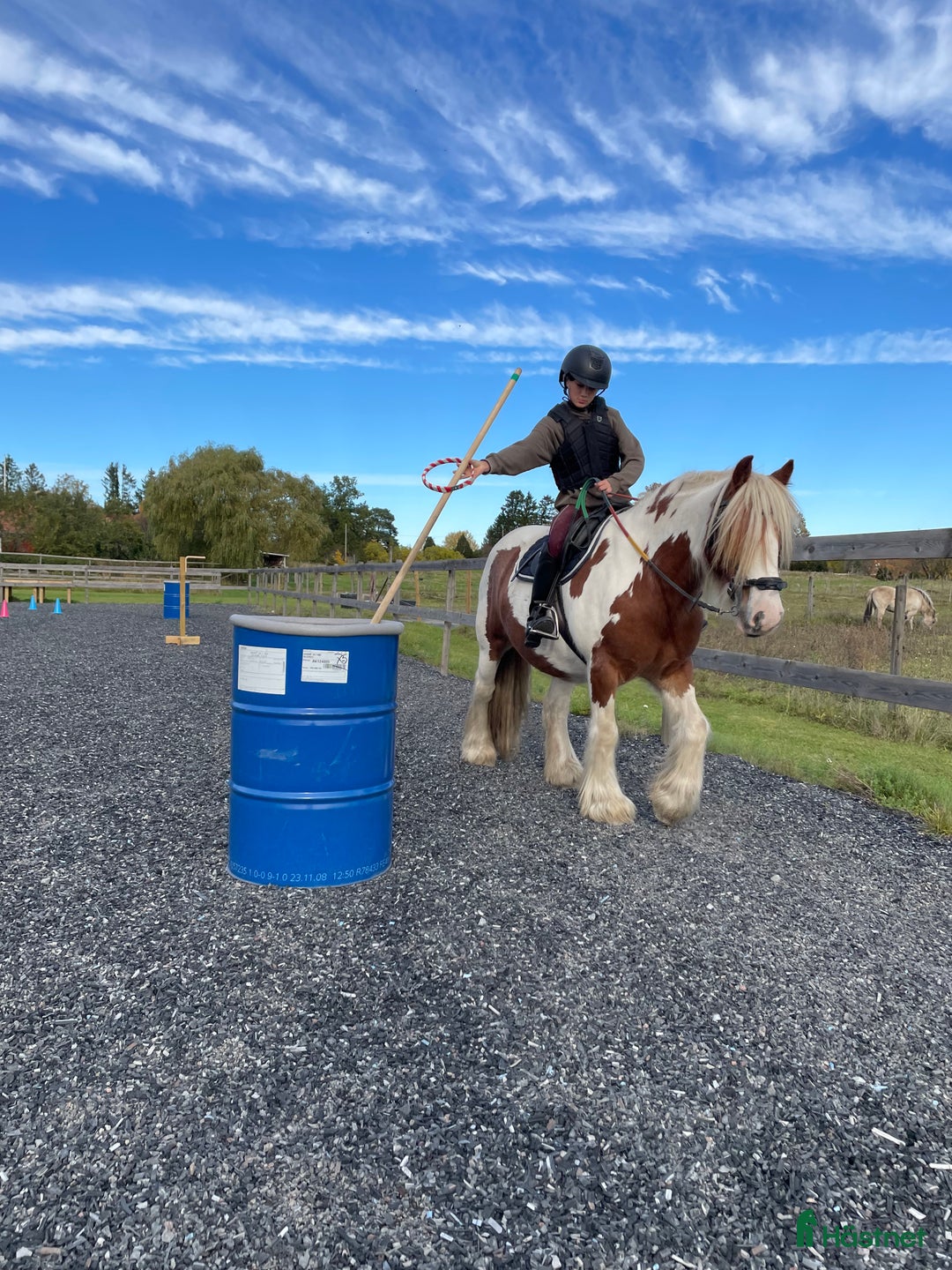  medryttarhäst finnes: 4 trygga hästar i Märsta söker medryttare i Märsta - Annons 11