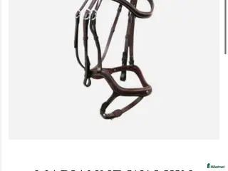 Träns hästutrustning Antares träns - Annons 4