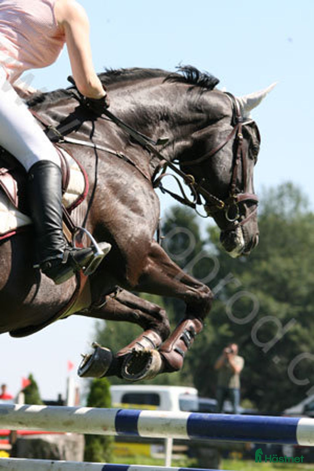  hästjobb finnes: Söker arbete i Skellefteå - Annons 1