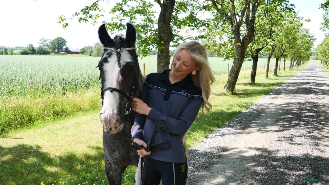 Allround hästar sökes: Har ni våran bästa vän  i Lidköping - Annons 1