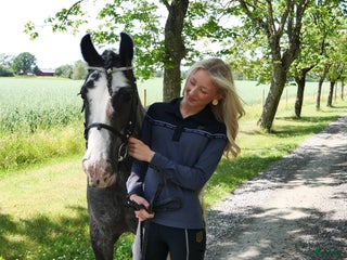 hästar Har ni våran bästa vän i Lidköping - Annons 1