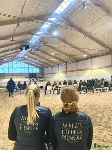  hästjobb Ridlärare, flexibel omfattning - Annons 2
