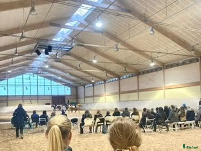 hästjobb finnes: Ridlärare sökes - Annons 2