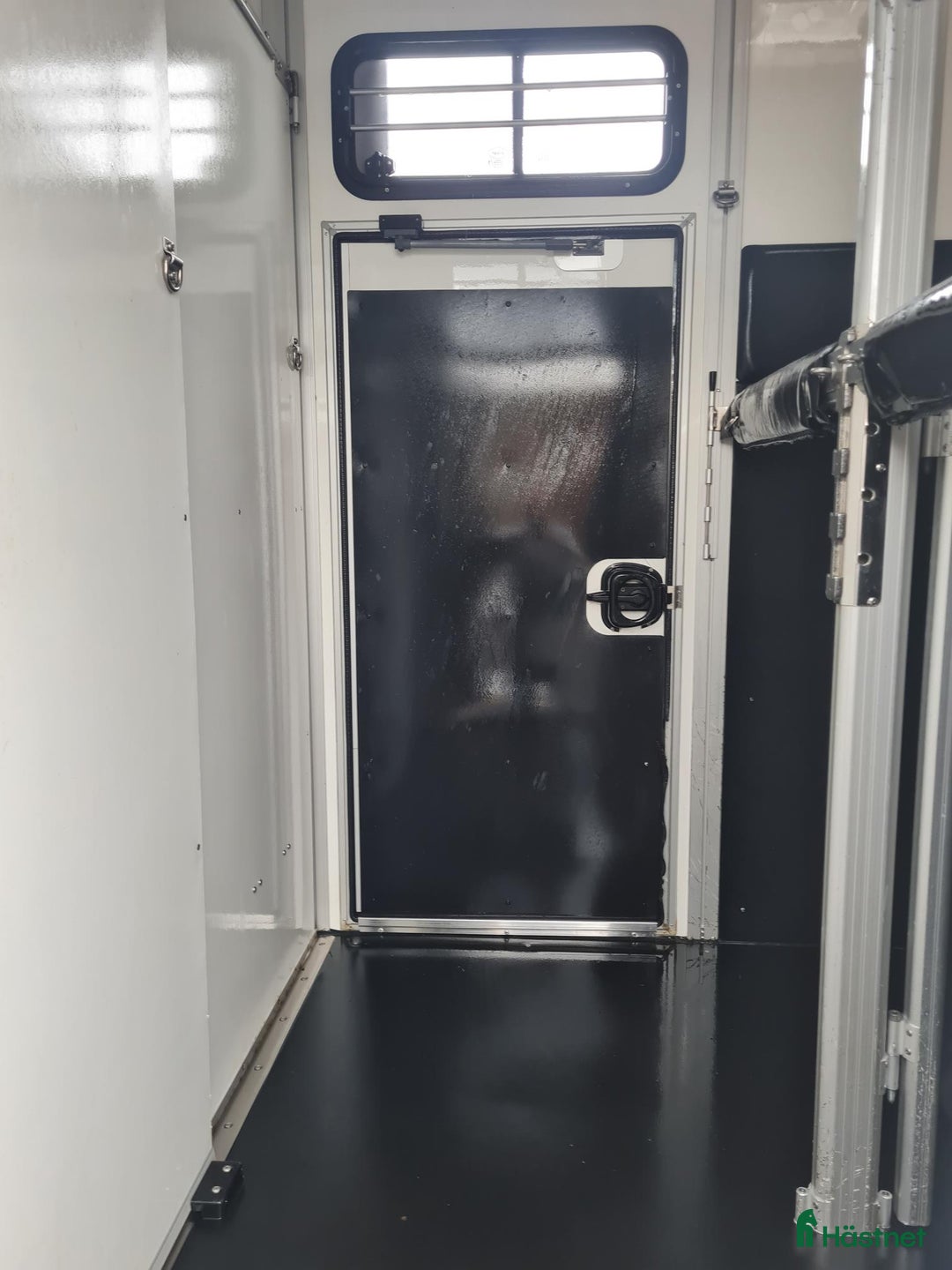 Hästtransporter  fordon & transport till salu: UME B60 - Årsmodell 2021 i Vikingstad - Annons 3