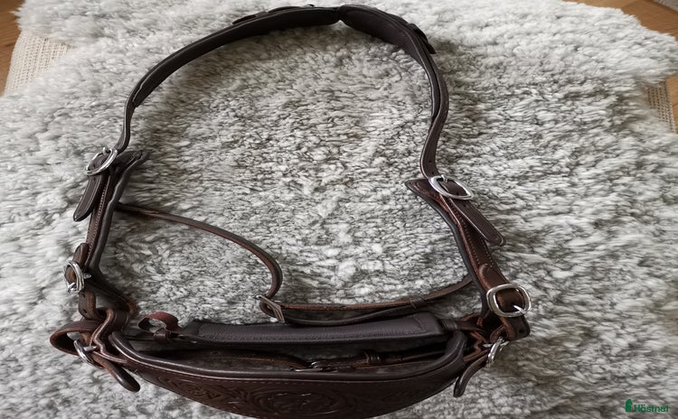 Träns hästutrustning till salu i Ludvika - Annons 14