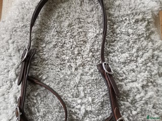 Träns hästutrustning till salu: Bettlöst Hackamore i Ludvika - Annons 22