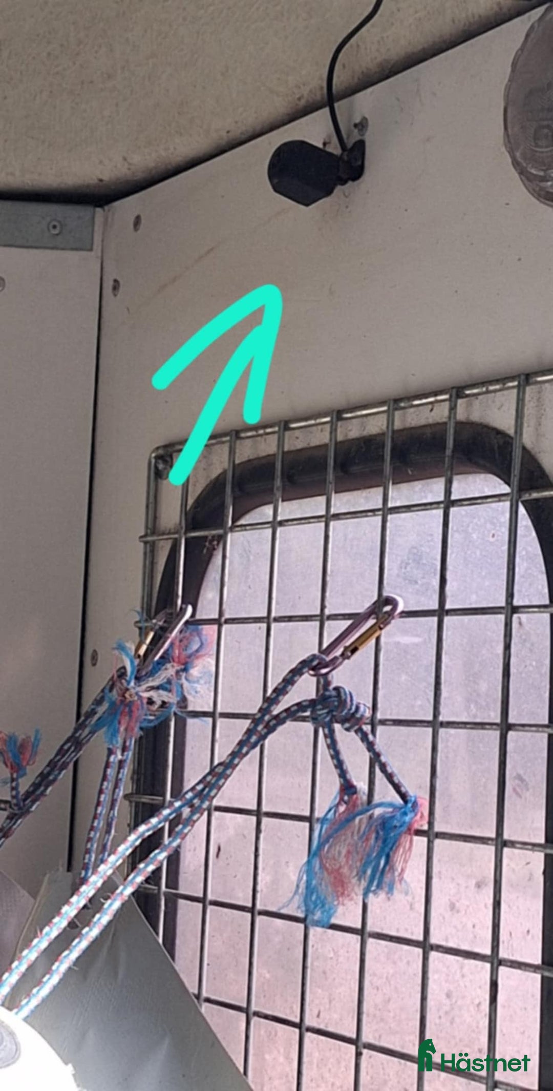 Hästtransporter  fordon & transport till salu: Thule Equiliner 2007 i Vagnhärad - Annons 2