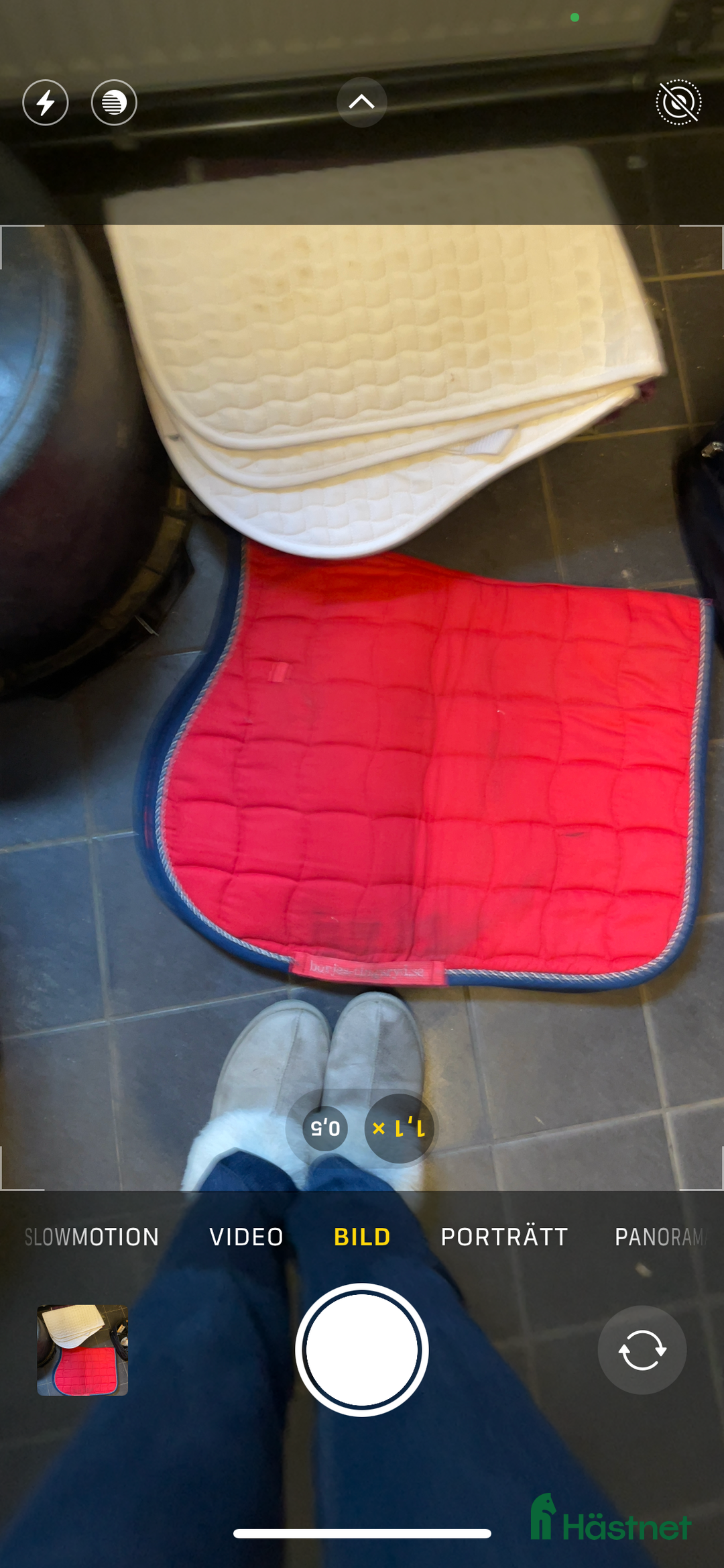 Övrig Hästutrustning hästutrustning till salu: Lägg bud  - Annons 2