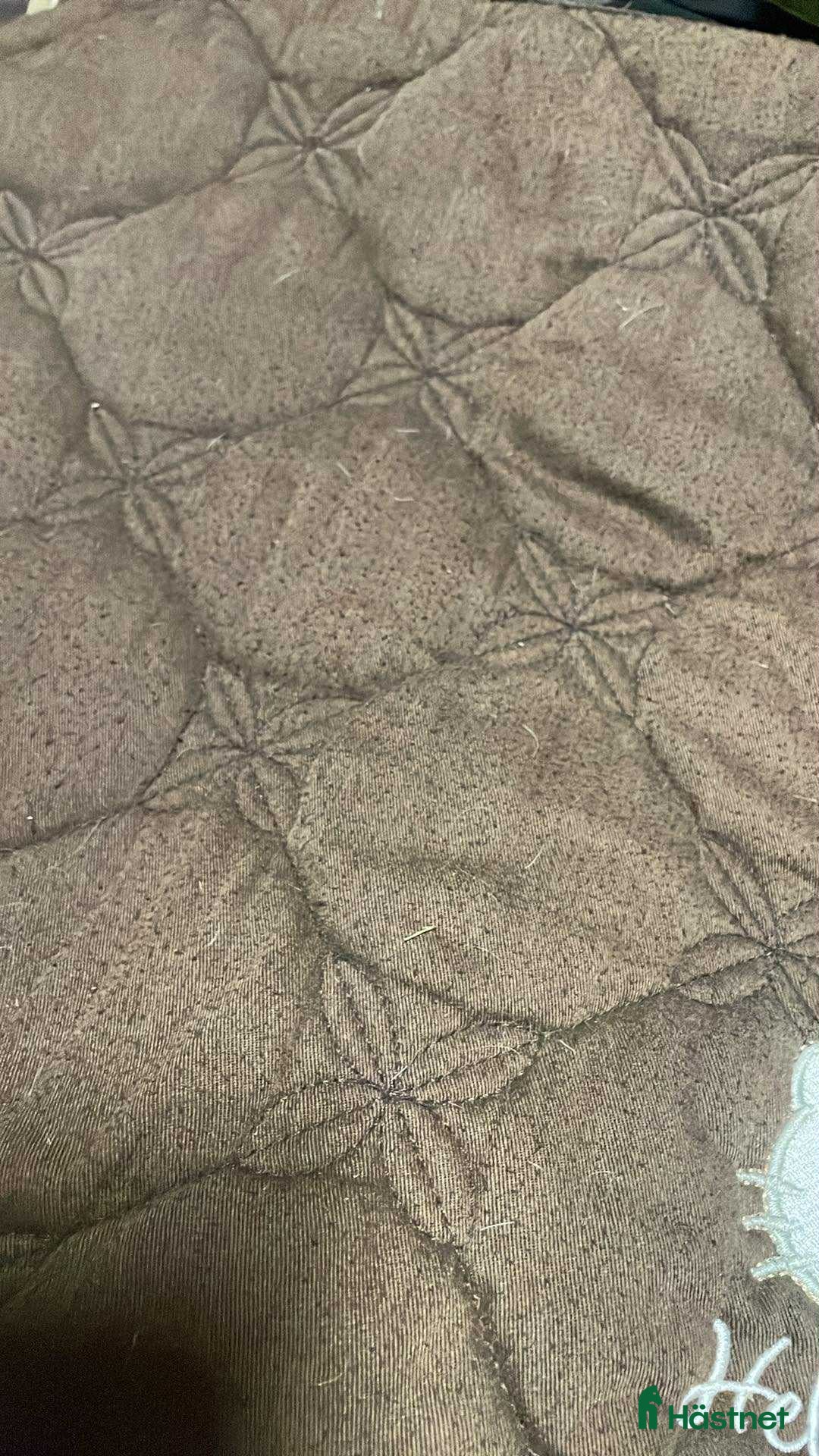 Schabrak & Vojlockar hästutrustning till salu: Equiline schabrak säljes i Västerås - Annons 4