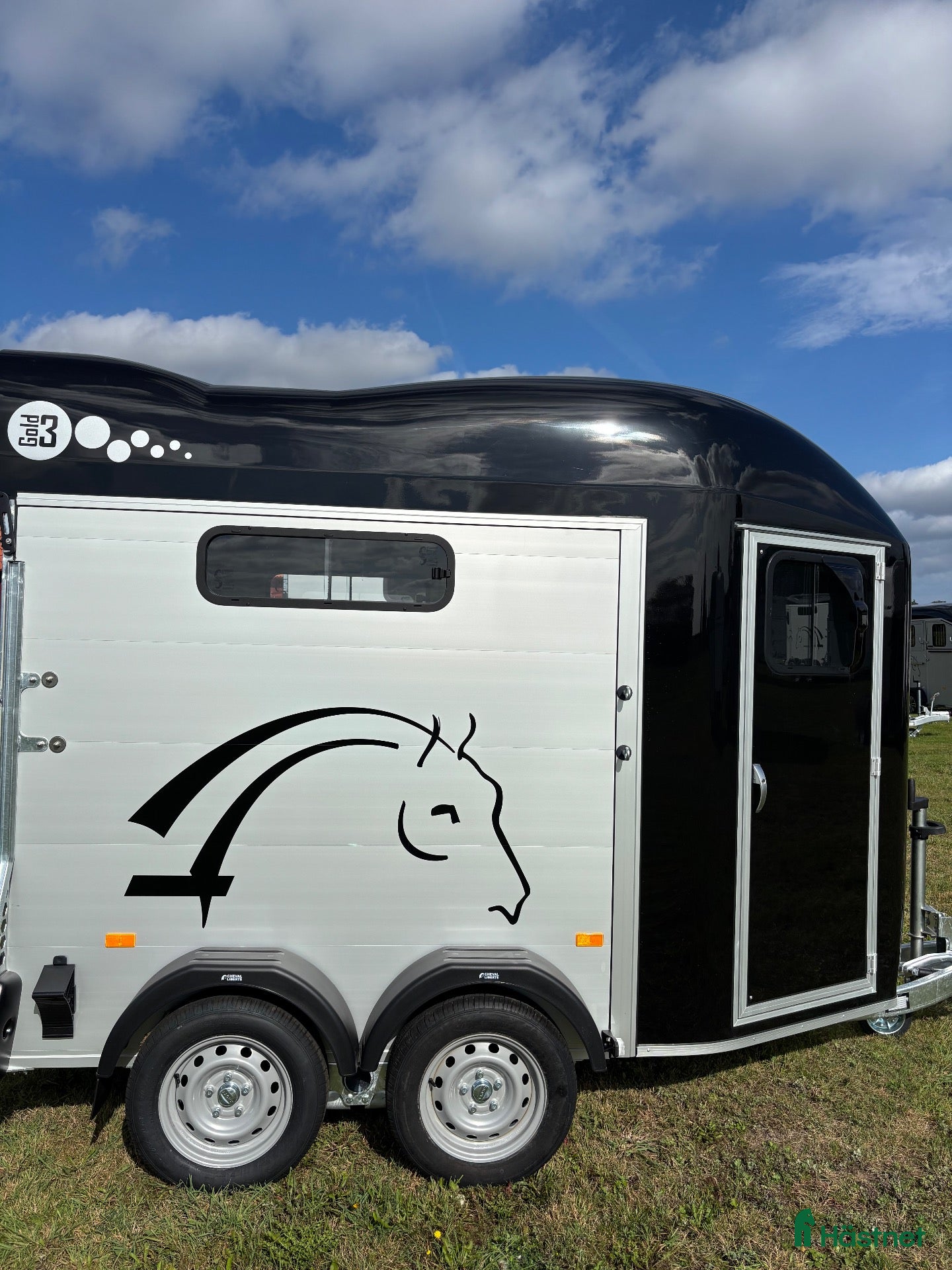 Hästtransporter  fordon & transport till salu: Cheval GOLD3  - Annons 3