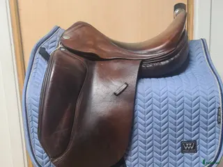 Sadlar hästutrustning Jaguar XKC i Hamneda - Annons 3