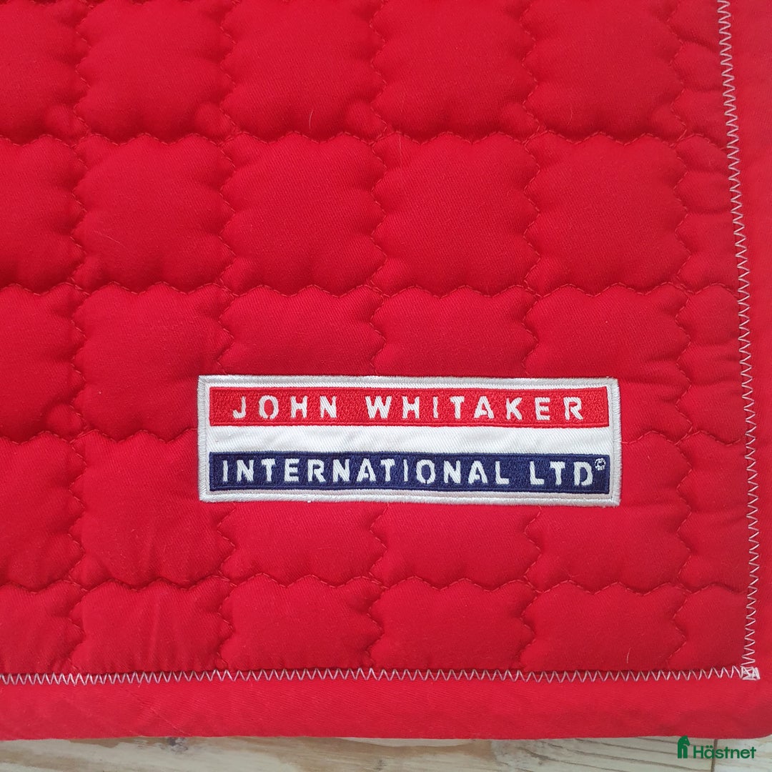 Schabrak & Vojlockar hästutrustning till salu: John Whitaker hoppschabrak Full  i Tranås - Annons 3