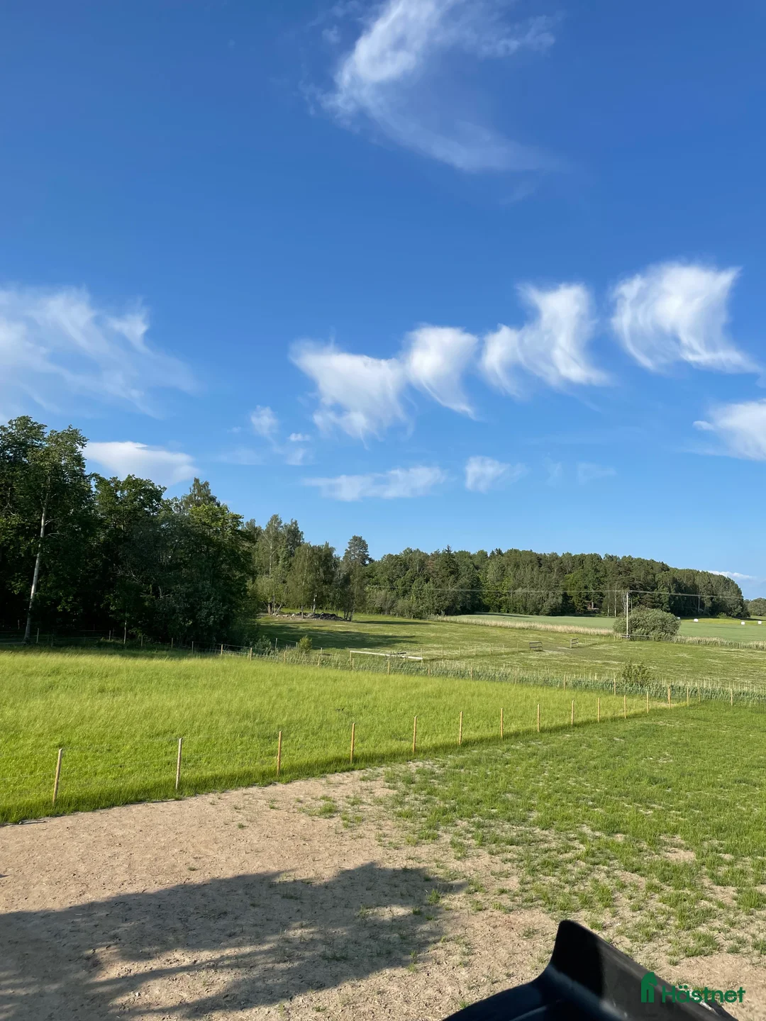 Allround hästar sökes: SÖKER eventuellt dräktigt sto, ungsto, hingst i Örebro - Annons 1