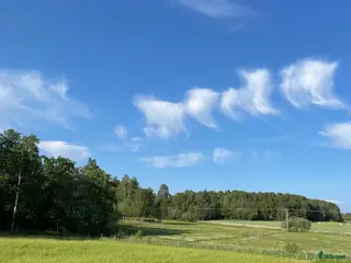 hästar SÖKER eventuellt dräktigt sto, ungsto, hingst i Örebro - Annons 18