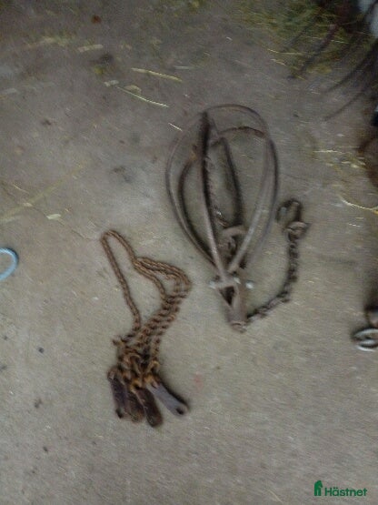 Övrig Körutrustning körning till salu: Stångkoppel - Annons 1