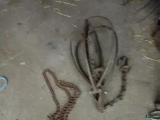 Övrig Körutrustning körning till salu: Stångkoppel - Annons 1