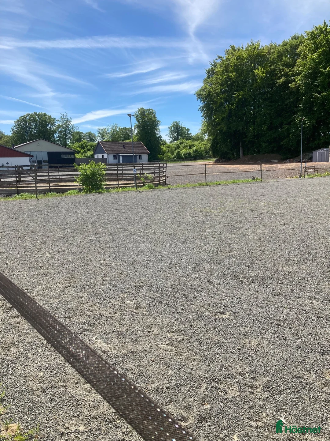  stallplats finnes: Välskött stall på Österlen uthyres. i Sankt OLOF - Annons 2