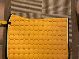 Schabrak & Vojlockar hästutrustning till salu: Dressyr schabrak QHP i Älvsered - Annons 1