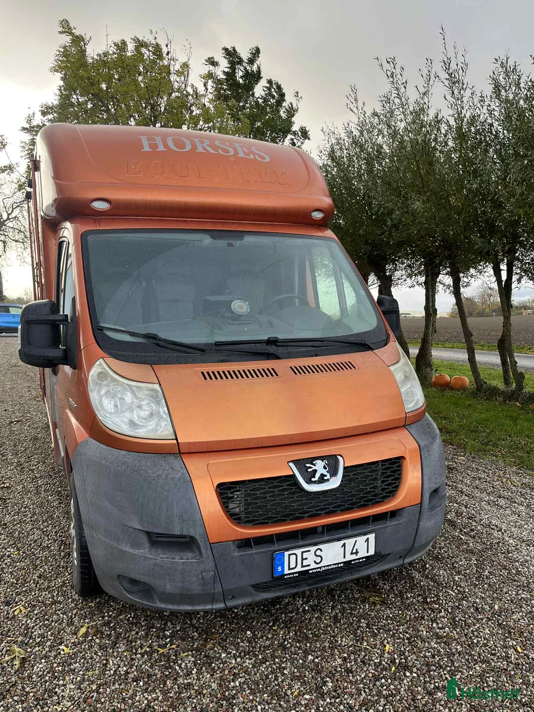 Hästlastbilar  fordon & transport till salu: Fin 3-sitsig hästlastbil med säkerhetslösning i Löderup - Annons 5