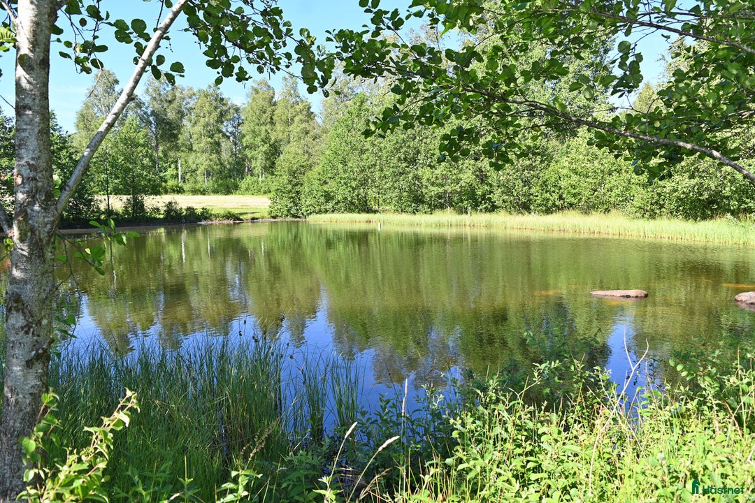  hästgårdar till salu: 68ha Ståtlig skogsgård * VISNING 10 AUG * i Lidhult - Bild 5