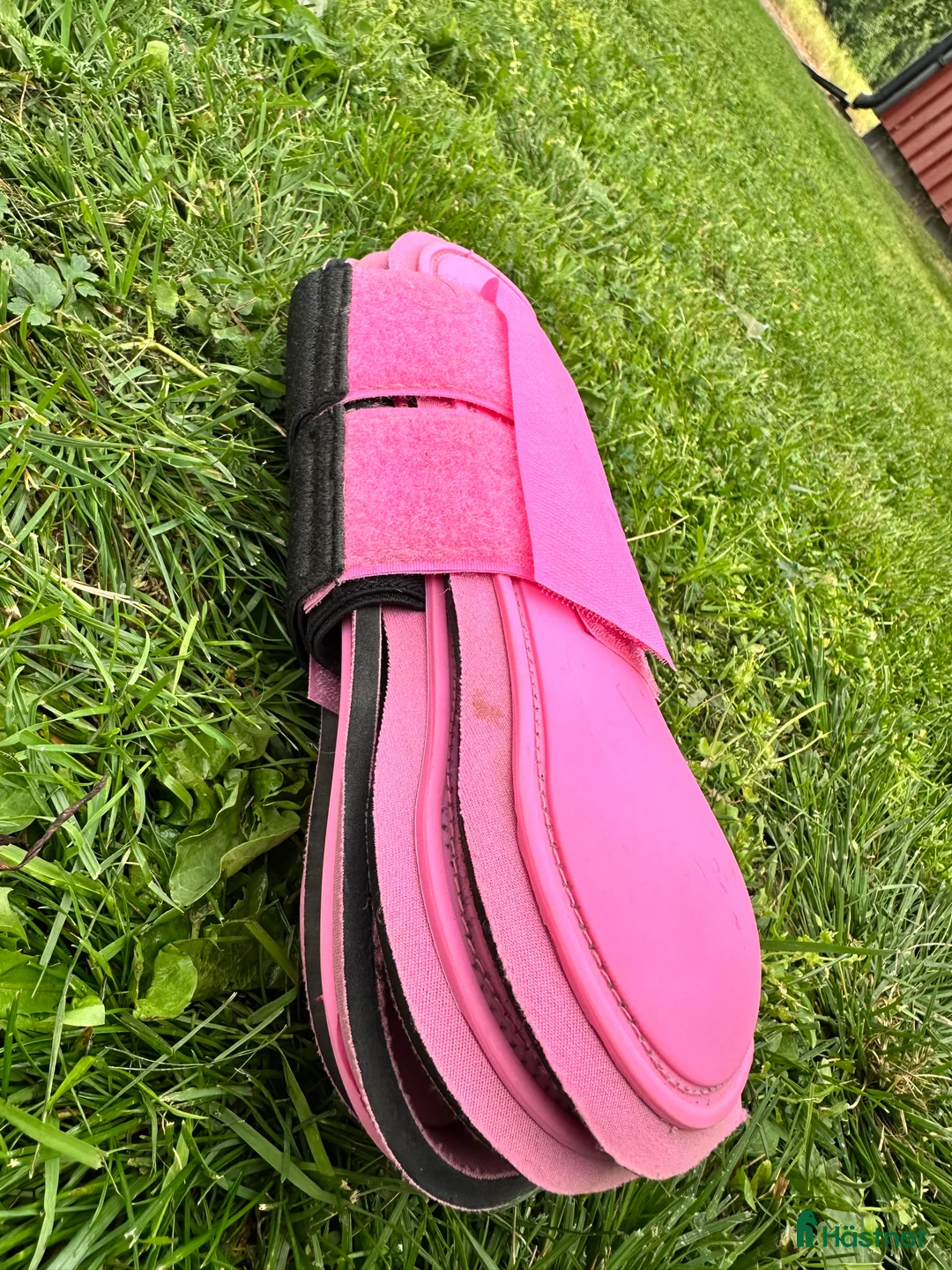 Benskydd hästutrustning till salu: Rosa Benskydd  i Boden - Annons 2