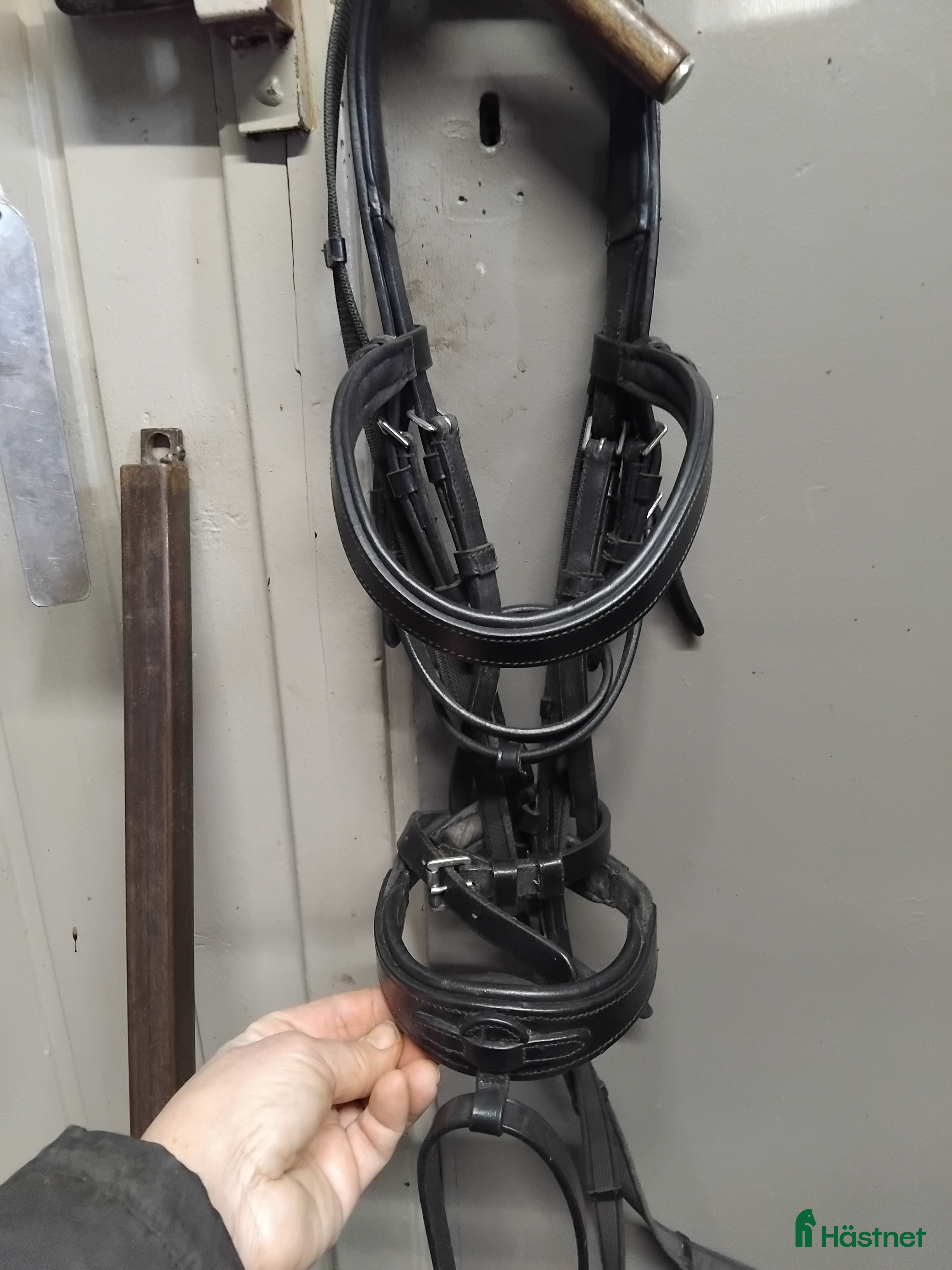 Övrig Hästutrustning hästutrustning Blandat i Löddeköpinge - Annons 3