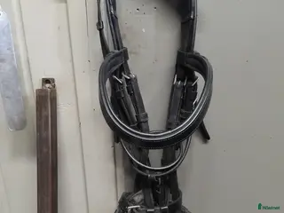 Övrig Hästutrustning hästutrustning Blandat i Löddeköpinge - Annons 3