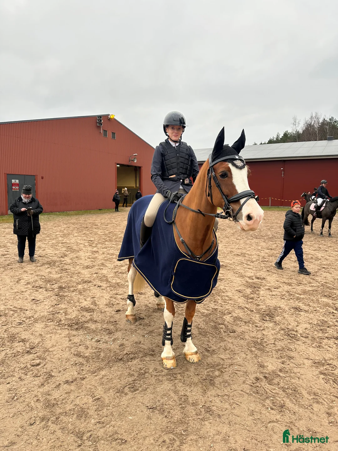 Sadlar hästutrustning till salu: Santa Cruz/ VOLTAIRE COLBERT BROTHERS/Santa Cruz i Varnhem - Annons 8