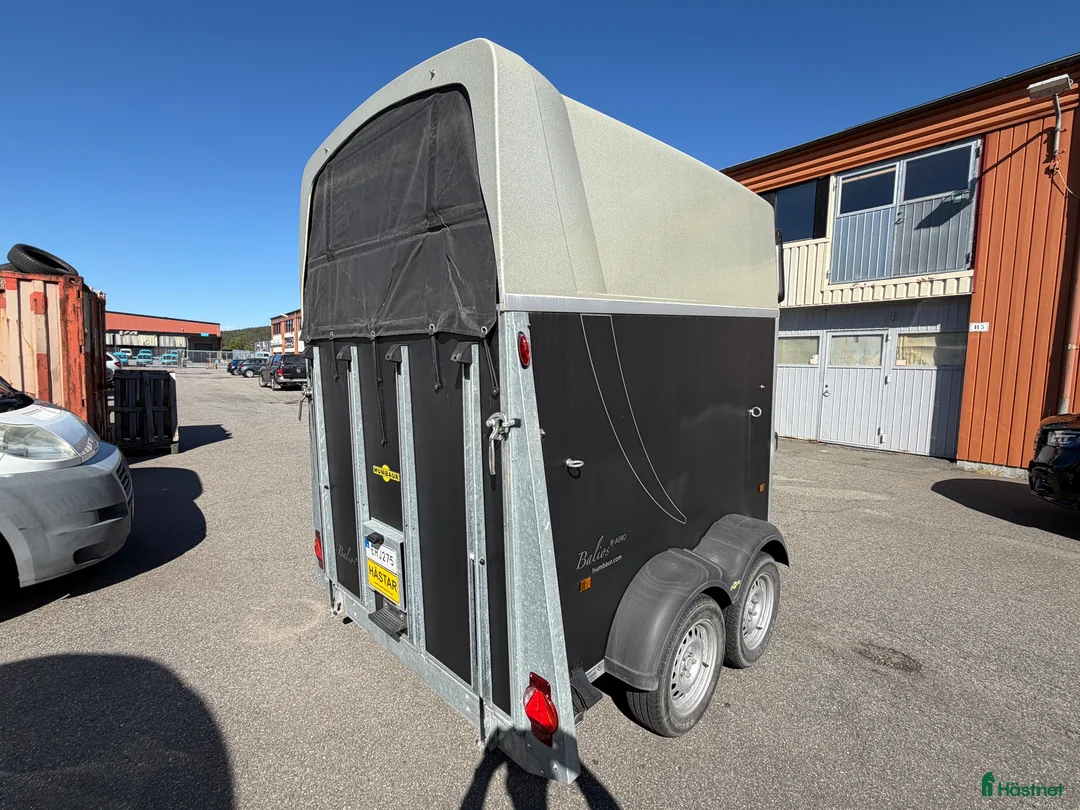 Hästtransporter  fordon & transport till salu: Fint hästsläp Humbaur Helios - Annons 11