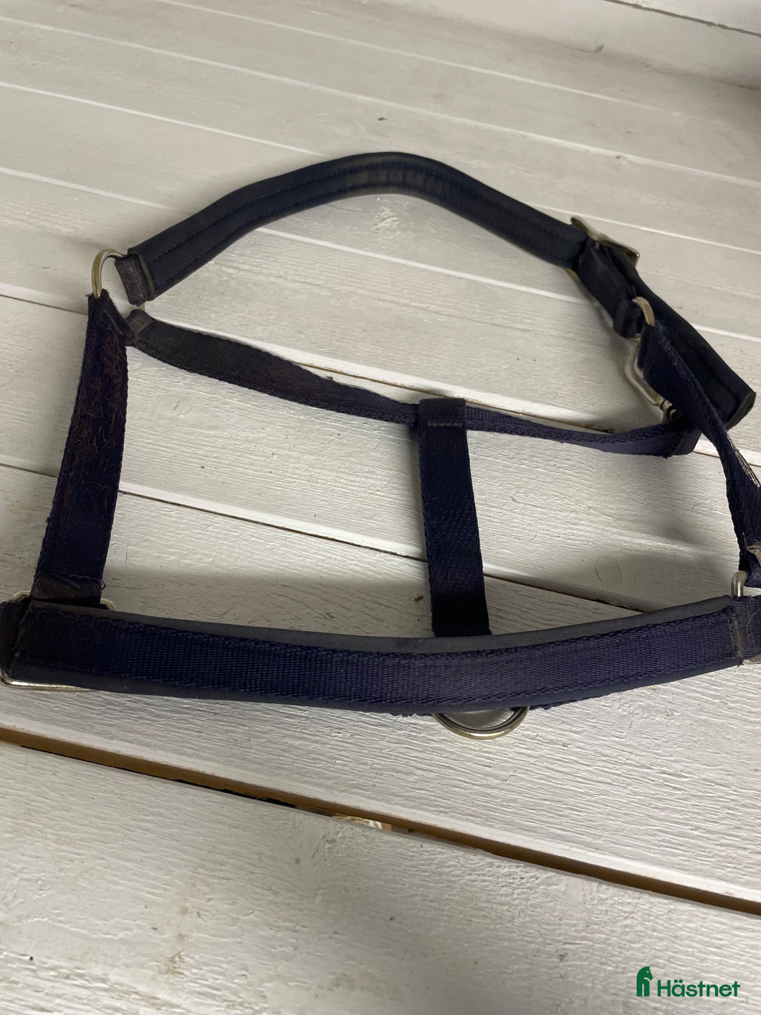 Övrig Hästutrustning hästutrustning Blå grimma - Annons 9