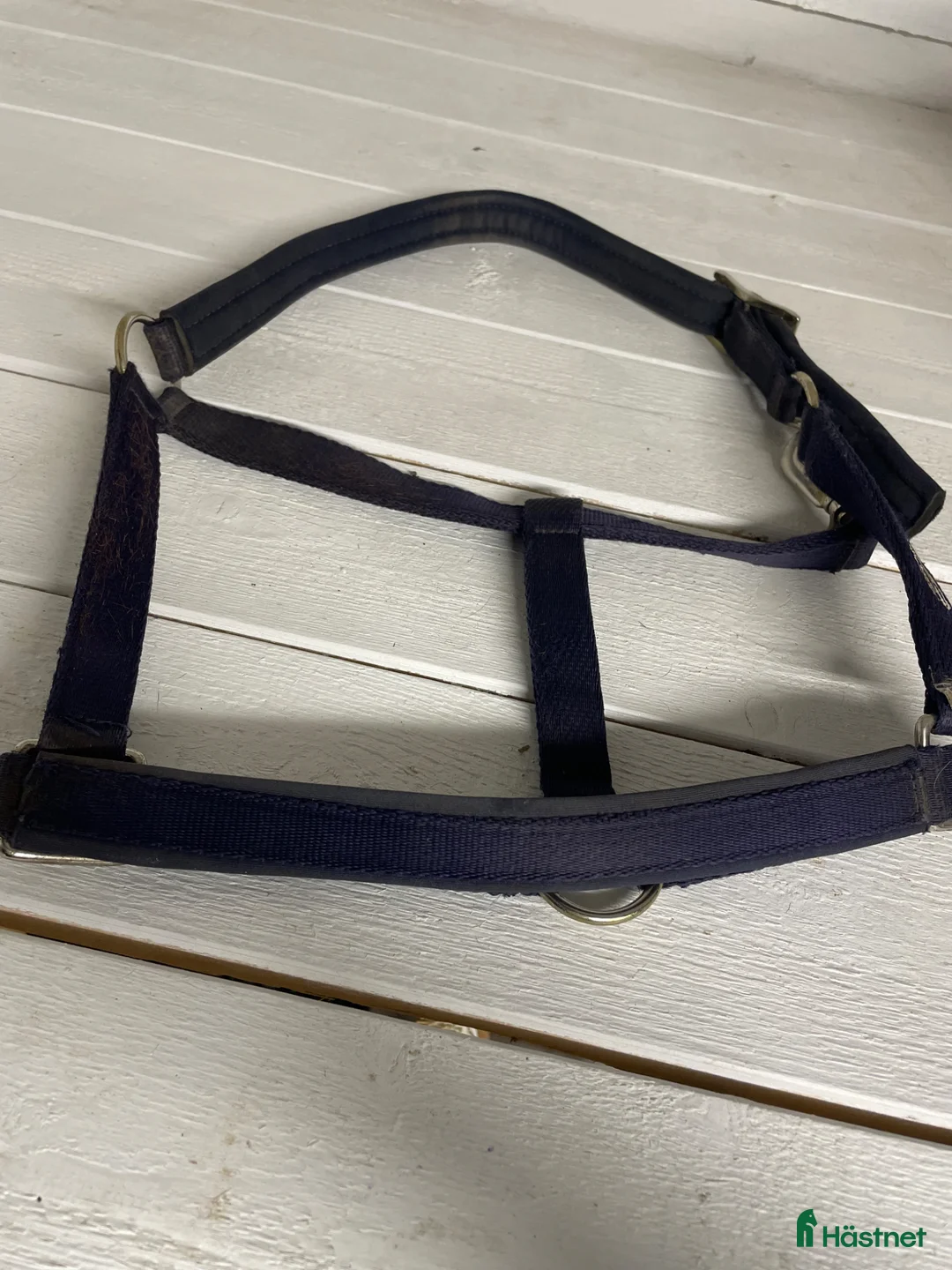 Övrig Hästutrustning hästutrustning till salu: Blå grimma - Annons 1