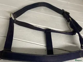 Övrig Hästutrustning hästutrustning Blå grimma - Annons 7