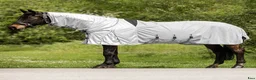 Täcken hästutrustning till salu: Kombinerat flug-/ och eksemtäcke med fast hals  - Annons 1